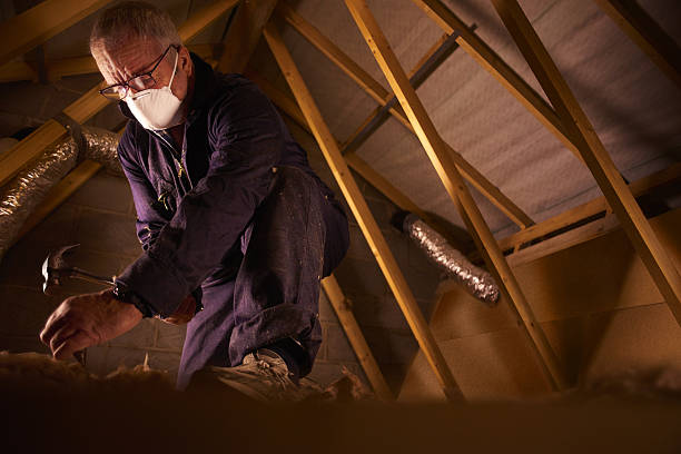 Best Insulation Maintenance and Repair in Lochearn, MD